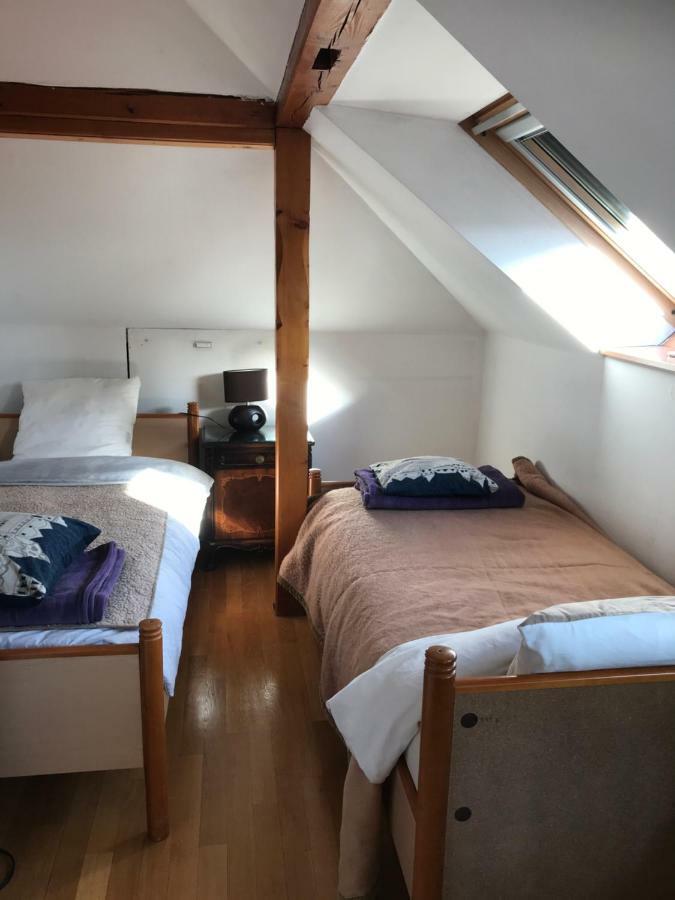 Appart Les Cerises Entre Strasbourg Et Haguenau Bischwiller Exterior foto